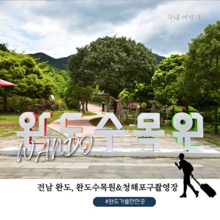 전남 완도 가볼만한 곳 추천 완도수목원 청해포구 촬영장 가족여행 코스로 다녀온 후기