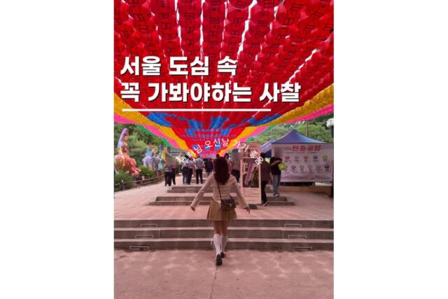 서울 유명 가볼만한절 봉은사 연등축제 부처님오신날
