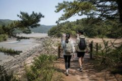 인천 자월도 트레킹 코스 당일치기 백패킹 명소, 배편 물때 정보 총정리