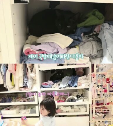 “은인이라더니 방치?” 박수홍 딸 장난에 숨어버린 다홍이 영상 논란