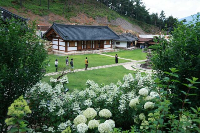 “心 연못 연꽃 무료 사찰 카페” 지리산 동남쪽 끝자락 산청 여행지