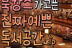 북캉스 가기 좋은 힐링 독서공간 추천!