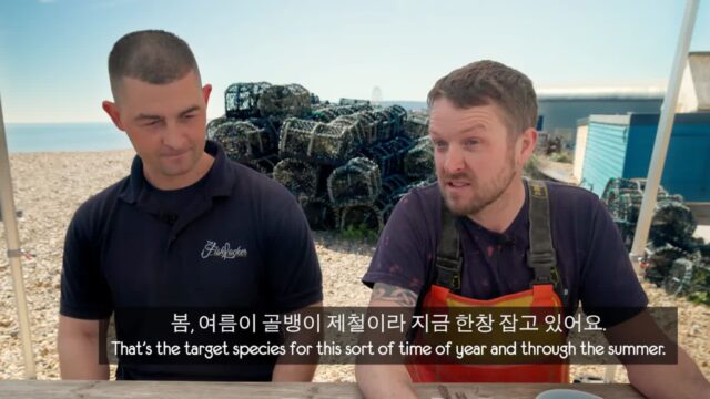 한국 골뱅이무침 먹은 영국 어부들 반응