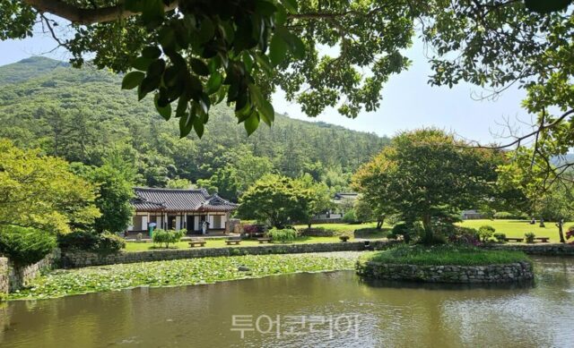 정말 놓치기 아까운 예술특구 자연 관광지 ‘진도군’
