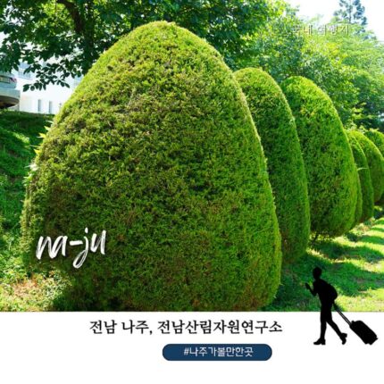 전남 아이랑 갈만한곳｜나주 산림자원연구소 주차장·입장료·운영시간 총정리