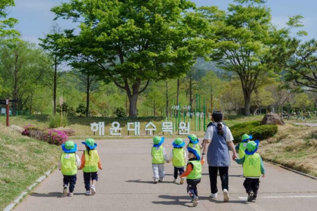 “쓰레기 매립지가 62만 8000㎡ 규모 수목원으로!” 무료 부산 여행지 추천