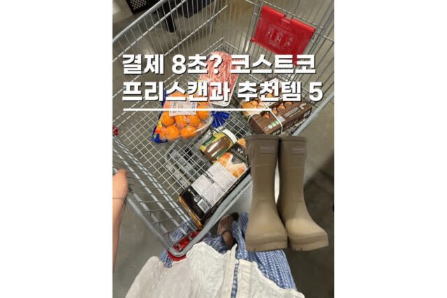 코스트코 프리스캔 방법 및 기흥 공세점 할인 추천템 5