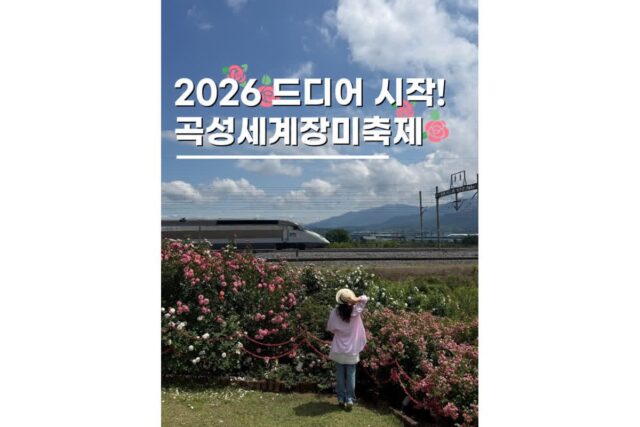 곡성세계장미축제장 일정 가수 라인업 주차장 꿀팁