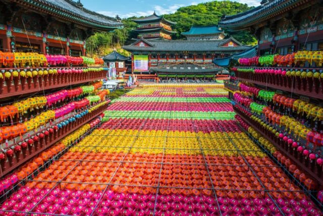 2026년 삼광사 연등축제 완벽 가이드, 부산 밤을 수놓는 절경 5곳