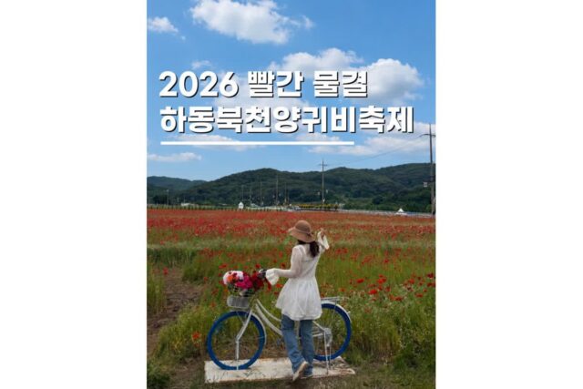 경남 하동 가볼만한곳 북천 꽃양귀비축제 실시간 후기