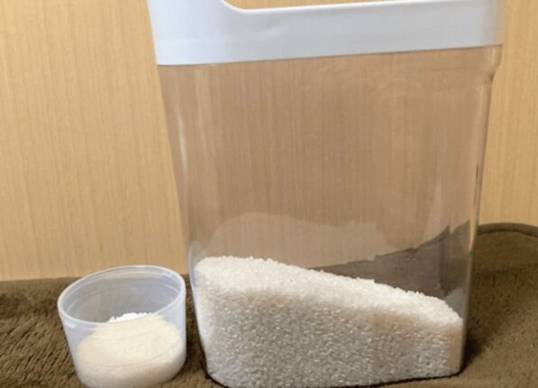 “독소 폭발적으로 증가합니다” 간암까지 생기게 만든다는 ‘최악의 쌀 보관법’