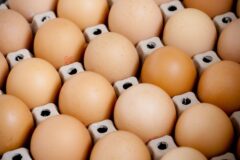 “달걀은 절대 문쪽에 두지 마세요” 한 달 더 신선하게 보관하는 법