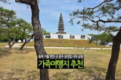 충북 가볼 만한 곳 충주 중앙탑 사적 공원 충주 박물관 가족여행지 추천