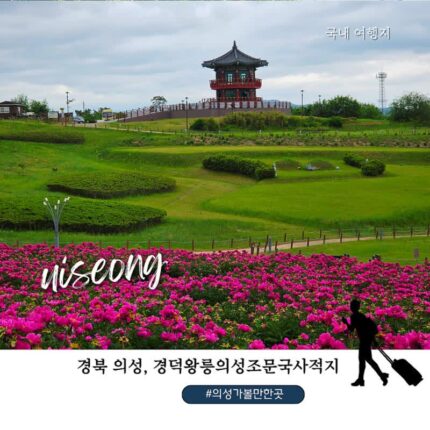 경북 의성 가볼 만한 곳｜경덕왕릉 의성조문국사적지 작약꽃밭 여행