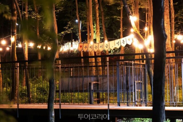 “무료 궁궐부터 도심 수목원까지”…지금 수원에서 꼭 가봐야 할 힐링 명소 5선