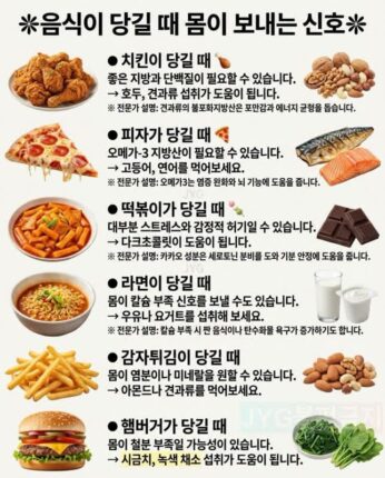 특정 음식이 당길 때 몸이 보내는 건강 신호와 대체 식품 모음