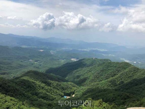 “대구 근교 숨은 힐링 여행지 ‘경산’…한방 웰니스·야경 명소 인기