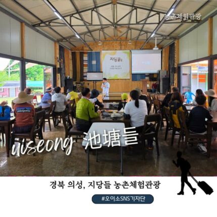 장아찌 만들고 작약꽃까지! 오이소 SNS 기자단의 의성 지당들 비벼 먹는 장아찌 담기 체험