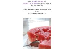 엄청 비싼 무등산 수박 리뷰