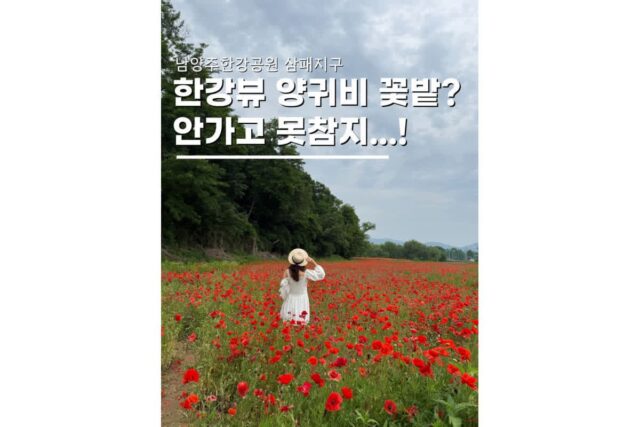 남양주 드라이브 데이트코스 한강뷰 브런치 트윈트리 양귀비