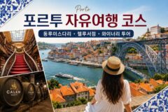 포르투 자유여행 코스 동루이스다리 렐루서점 와이너리 투어 동선 정리