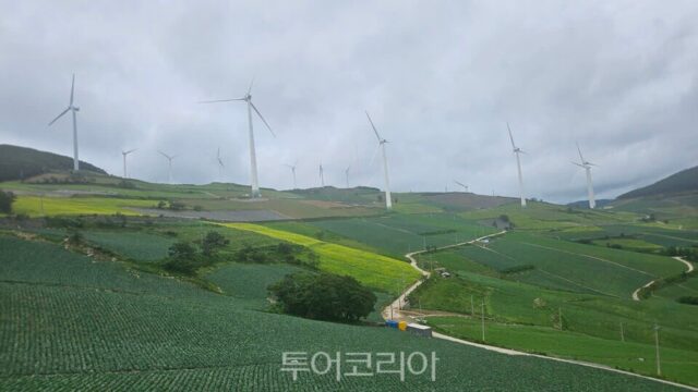 고원 산소도시 태백 ,감성 제대로 터지는 힐링 여행