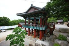오대산월정사 주차 완벽 가이드 2026, 5월 푸른 오대산 여행 BEST 5곳