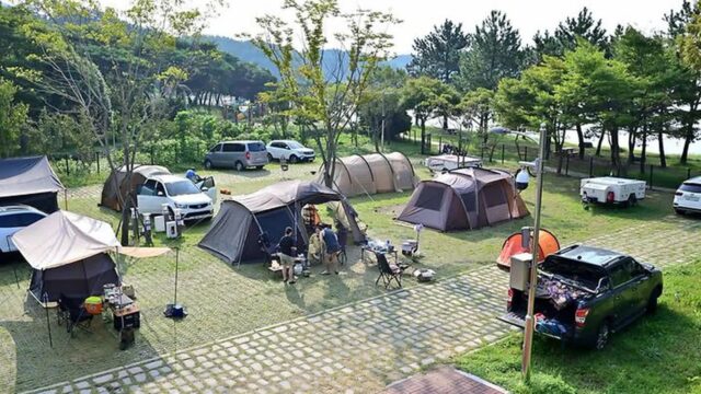 “경남 고성에서 이런 캠핑장을 발견하다니”… 100% 자연 속 역사를 체험하는 명소