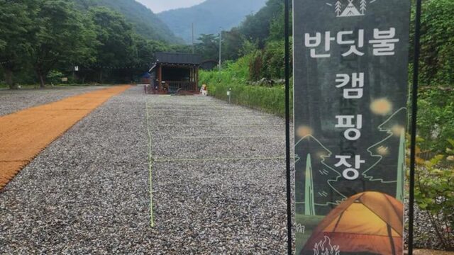 “밤하늘에 반딧불의 축제라니…” 30,000㎡ 숲속 자연 그대로의 캠핑 여행지