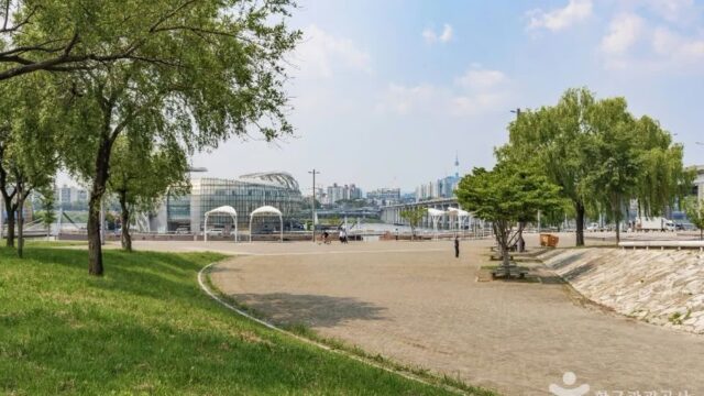 “서울의 밤이 이렇게 아름다울 줄이야!”… 2km 산책로와 반짝이는 조명이 가득한 명소