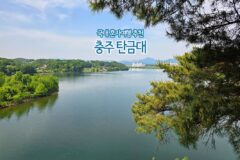 국내 혼자 여행 추천 충주 탄금대 우륵과 신립 장군
