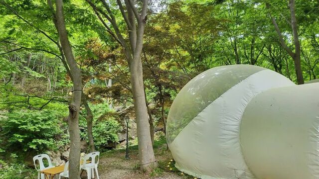 “전북 임실서 100개의 별이 쏟아진다니?”… 자연 속 힐링 글램핑 여행지