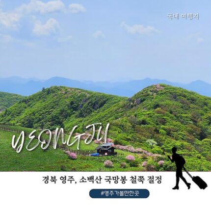 영주 가볼만한 곳 추천 소백산 국망봉 등산코스 철쭉꽃 절정 철쭉제 봉바위 전설까지