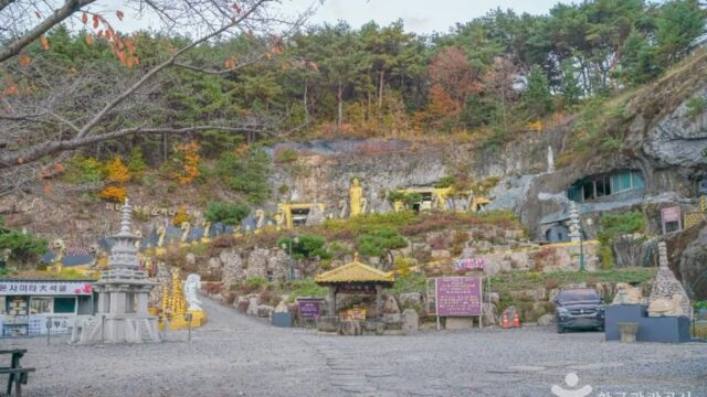 “2만 평 숲 속에 이렇게 숨겨진 사찰이?”… 울산의 고요한 자연 명소