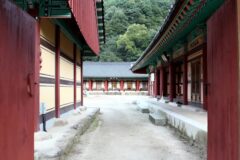 문현 템플스테이 2026년 가이드: 힐링 코스와 주변 명소 BEST 6