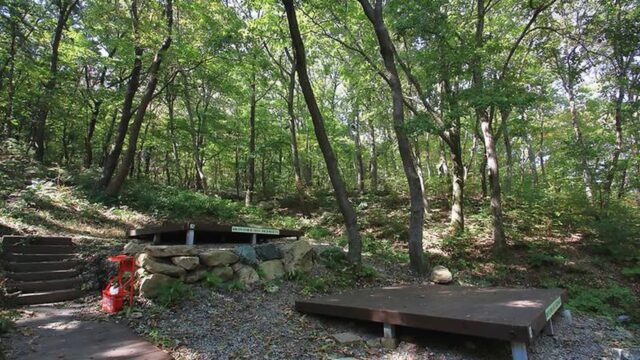“경주에서 불과 20km 떨어진 자연 천국이라니?”… 숲속 캠핑과 산책의 명소