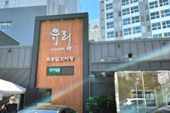 “주말 아침부터 줄 선다니 진짜?”… 전통과 현대 미식의 서울 명소