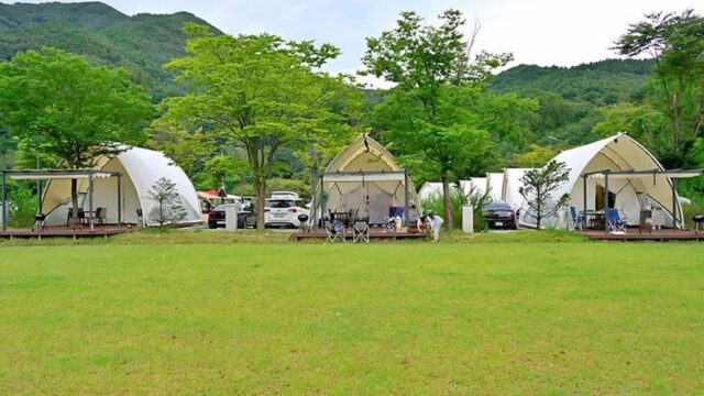 “20,000㎡ 자연 속에서 이런 평화를 누릴 수 있다니”… 도심 벗어난 여유 캠핑 명소