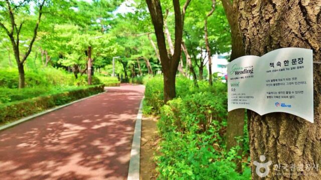 “150,000㎡ 넓이라니, 진짜 어마어마하네요”… 도심 속 자연 만끽할 서울 강동구 천호공원