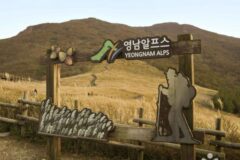 “해발 616m라니, 진짜 자연의 품속 같아요”… 울산 숨은 산책 여행지