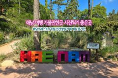 해남 여행 가볼 만한 곳 사진 찍기 좋은 곳 해남 포레스트 수목원 민간 정원 카페 비원 문가든
