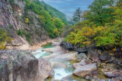 7~8월 휴가철 필수 코스, 여름 속초 가볼 만한 곳 베스트 5 투어