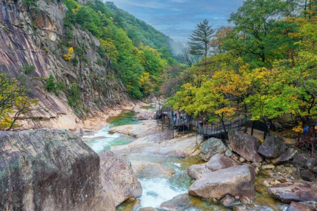 7~8월 휴가철 필수 코스, 여름 속초 가볼 만한 곳 베스트 5 투어