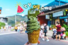 일본 디저트 여행 여름철 꼭 먹어봐야 할 디저트 10가지