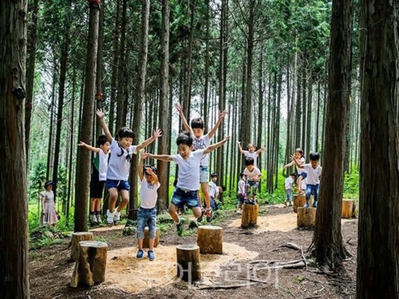 편백숲에서 쉬고 문학길을 걷다…정남진 장흥의 재발견