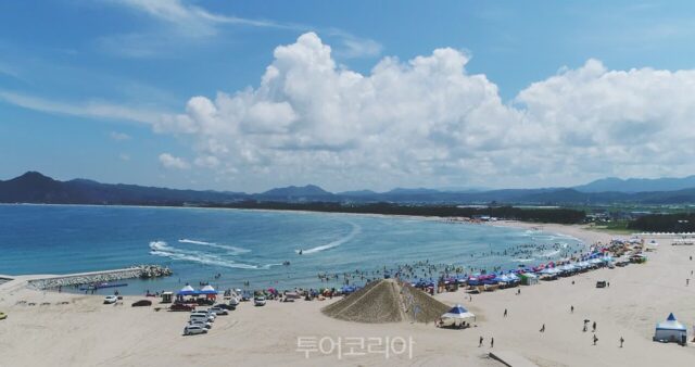 고래불해변부터 강구항까지…영덕 바다가 여름 여행객을 부른다