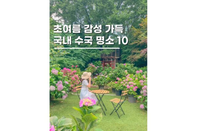 여름휴가 너로 정했다 수국 명소 국내여행지 갈만한곳 10