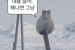 동대문이 동대문구에 없다는 사실을 언제 알았어?
