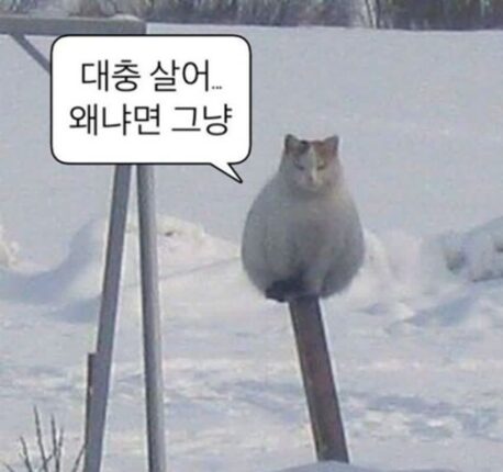 동대문이 동대문구에 없다는 사실을 언제 알았어?