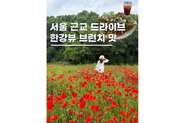 서울 근교 드라이브 한강뷰 남양주애견동반카페 트윈트리